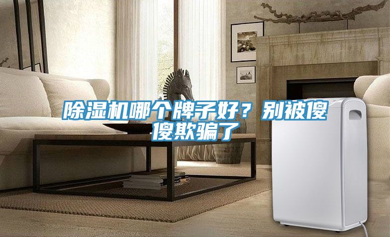 除濕機(jī)哪個(gè)牌子好？別被傻傻欺騙了