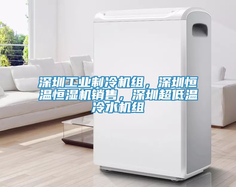 深圳工業(yè)制冷機(jī)組，深圳恒溫恒濕機(jī)銷售，深圳超低溫冷水機(jī)組