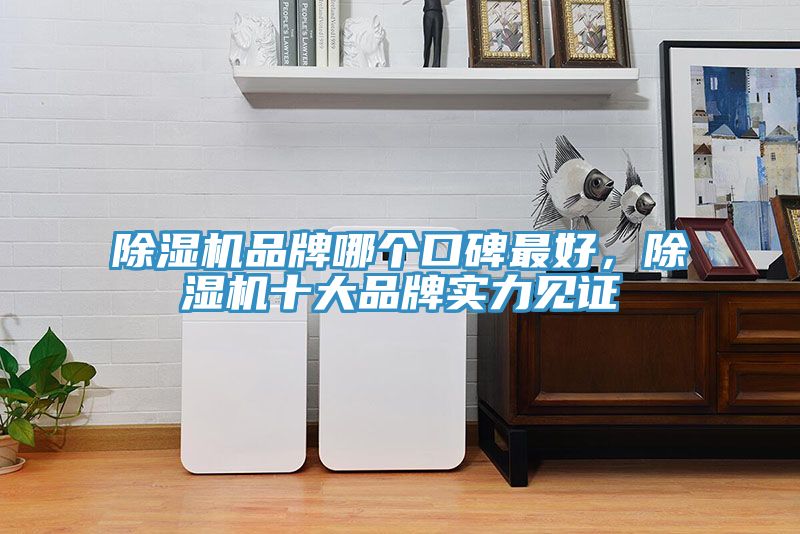 除濕機(jī)品牌哪個(gè)口碑最好，除濕機(jī)十大品牌實(shí)力見證