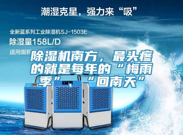 除濕機南方，最頭疼的就是每年的“梅雨季”、“回南天”