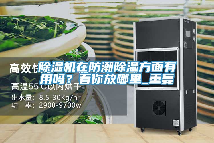 除濕機在防潮除濕方面有用嗎？看你放哪里_重復