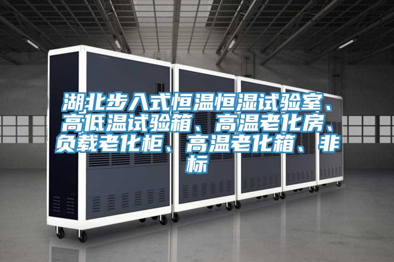 湖北步入式恒溫恒濕試驗(yàn)室、高低溫試驗(yàn)箱、高溫老化房、負(fù)載老化柜、高溫老化箱、非標(biāo)