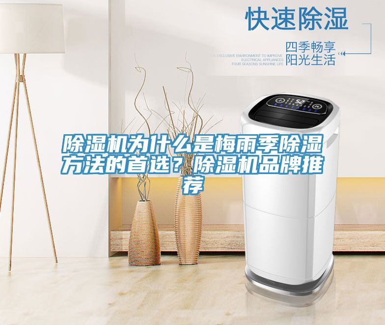 除濕機(jī)為什么是梅雨季除濕方法的首選？除濕機(jī)品牌推薦