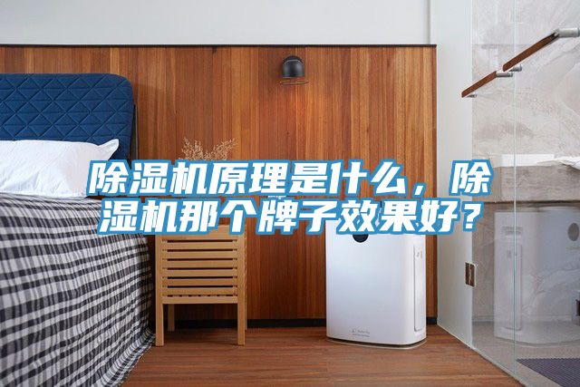 除濕機原理是什么，除濕機那個牌子效果好？