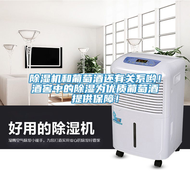 除濕機和葡萄酒還有關(guān)系喲！酒窖中的除濕為優(yōu)質(zhì)葡萄酒提供保障！
