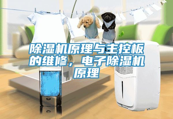 除濕機原理與主控板的維修，電子除濕機原理