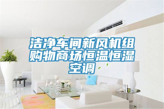 潔凈車間新風(fēng)機(jī)組購物商場(chǎng)恒溫恒濕空調(diào)