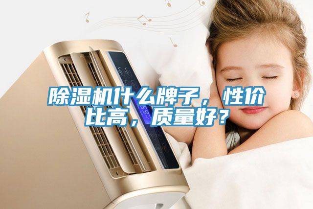 除濕機(jī)什么牌子，性價(jià)比高，質(zhì)量好？