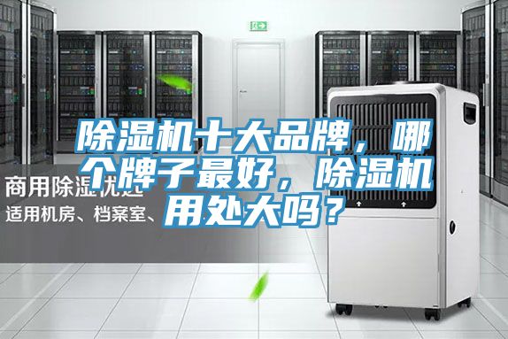 除濕機(jī)十大品牌，哪個(gè)牌子最好，除濕機(jī)用處大嗎？