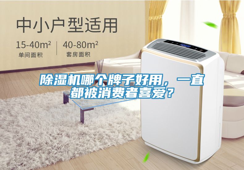 除濕機哪個牌子好用，一直都被消費者喜愛？