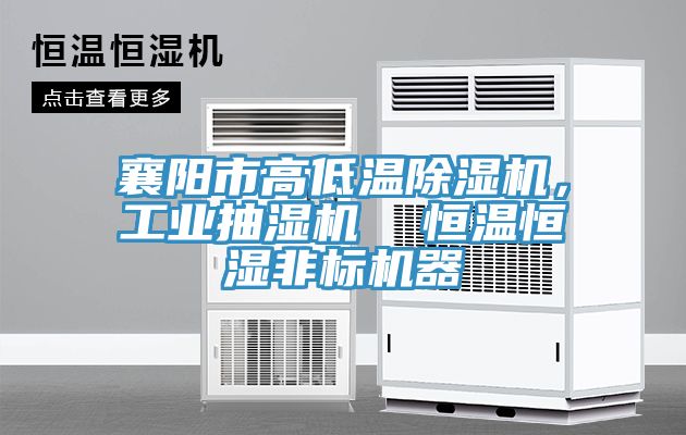 襄陽市高低溫除濕機，工業(yè)抽濕機  恒溫恒濕非標機器