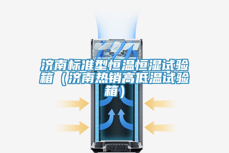 濟(jì)南標(biāo)準(zhǔn)型恒溫恒濕試驗(yàn)箱（濟(jì)南熱銷高低溫試驗(yàn)箱）