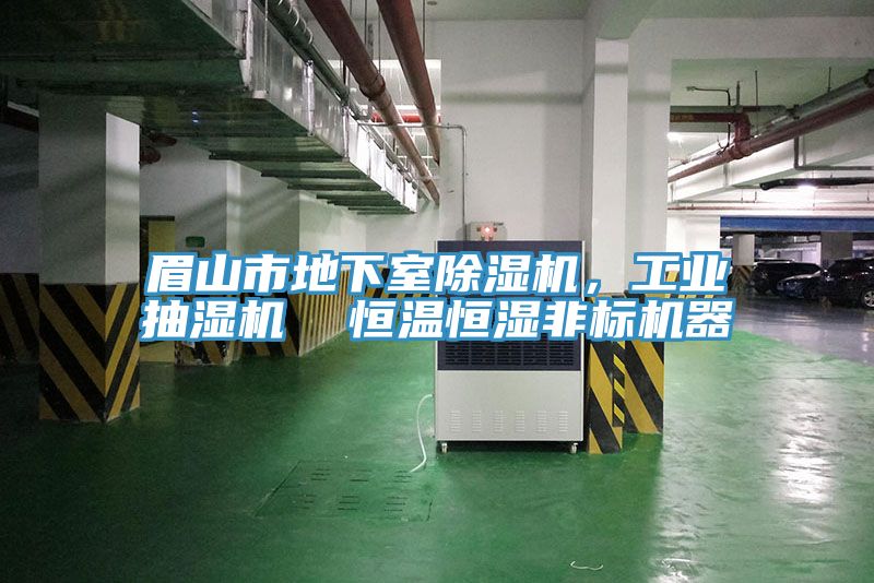 眉山市地下室除濕機，工業(yè)抽濕機  恒溫恒濕非標(biāo)機器