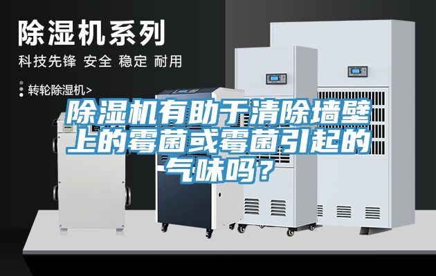 除濕機有助于清除墻壁上的霉菌或霉菌引起的氣味嗎？