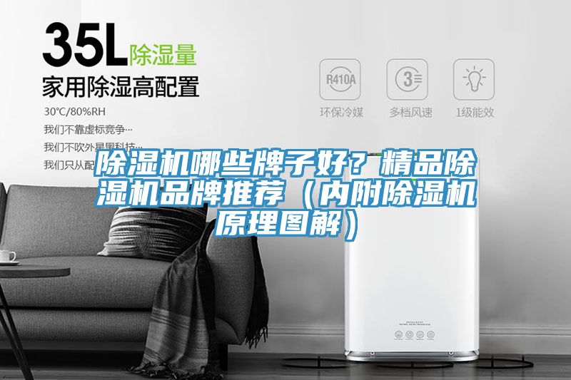 除濕機(jī)哪些牌子好？精品除濕機(jī)品牌推薦（內(nèi)附除濕機(jī)原理圖解）