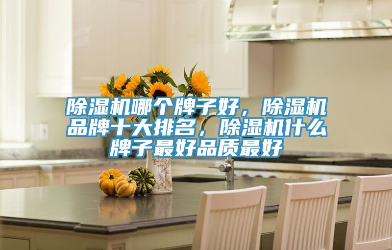 除濕機哪個牌子好，除濕機品牌十大排名，除濕機什么牌子最好品質(zhì)最好