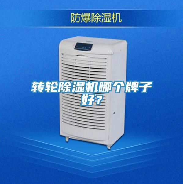 轉(zhuǎn)輪除濕機(jī)哪個牌子好？