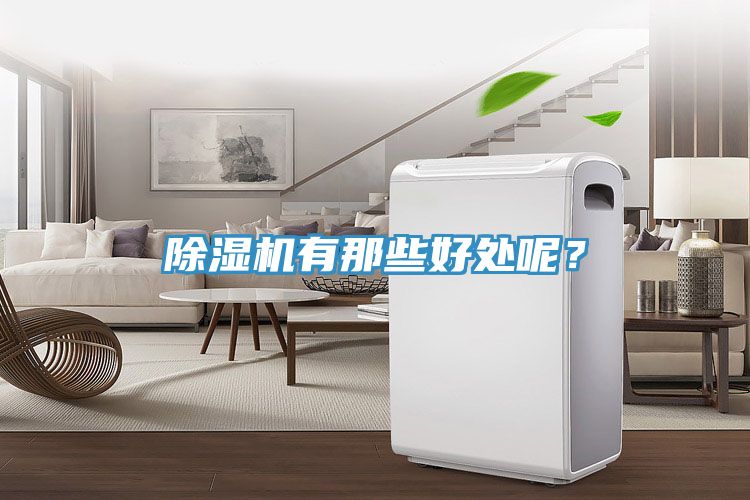 除濕機(jī)有那些好處呢？