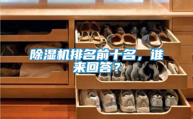 除濕機(jī)排名前十名，誰來回答？