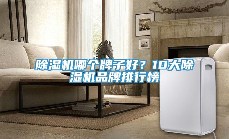 除濕機哪個牌子好？10大除濕機品牌排行榜