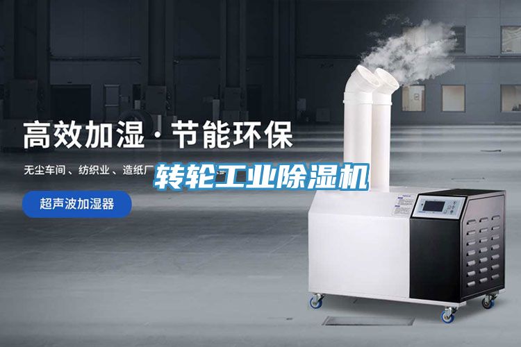 轉輪工業(yè)除濕機