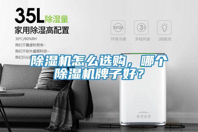 除濕機(jī)怎么選購，哪個(gè)除濕機(jī)牌子好？