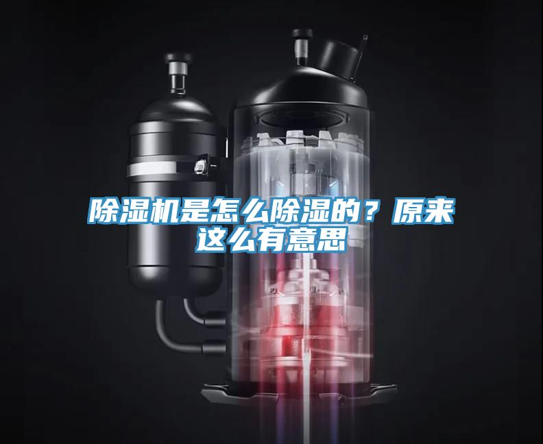 除濕機(jī)是怎么除濕的？原來(lái)這么有意思