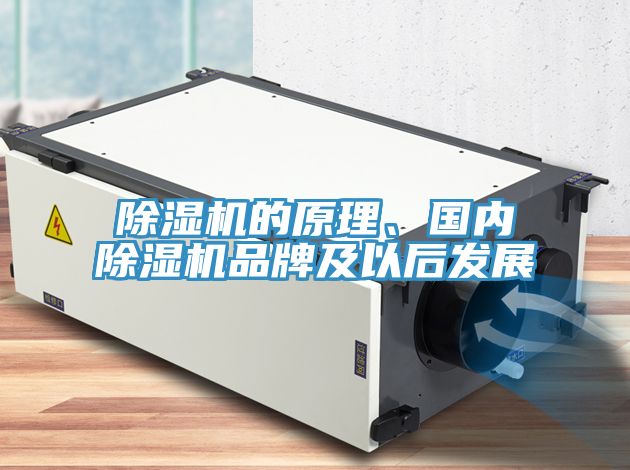 除濕機(jī)的原理、國(guó)內(nèi)除濕機(jī)品牌及以后發(fā)展
