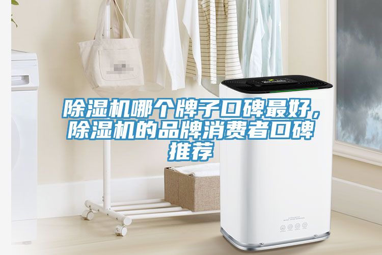 除濕機哪個牌子口碑最好，除濕機的品牌消費者口碑推薦
