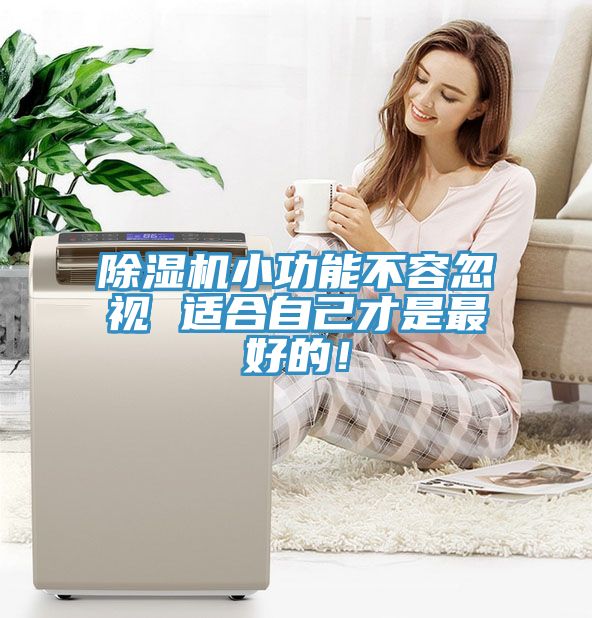 除濕機小功能不容忽視 適合自己才是最好的！