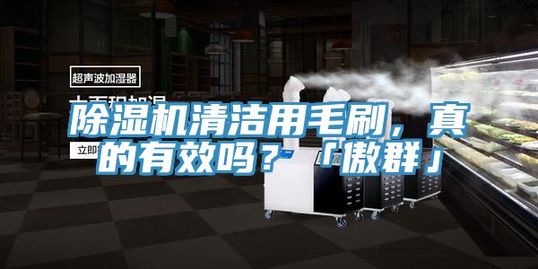 除濕機清潔用毛刷，真的有效嗎？「傲群」