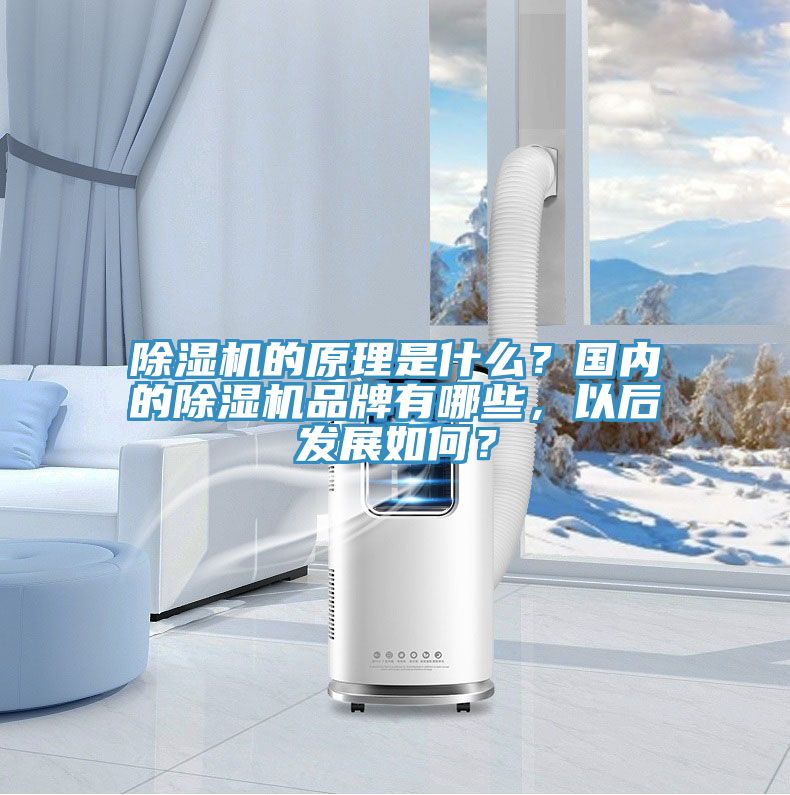 除濕機(jī)的原理是什么？國(guó)內(nèi)的除濕機(jī)品牌有哪些，以后發(fā)展如何？