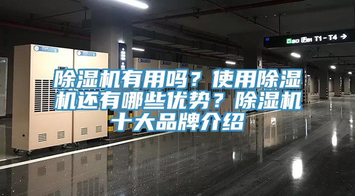 除濕機有用嗎？使用除濕機還有哪些優(yōu)勢？除濕機十大品牌介紹