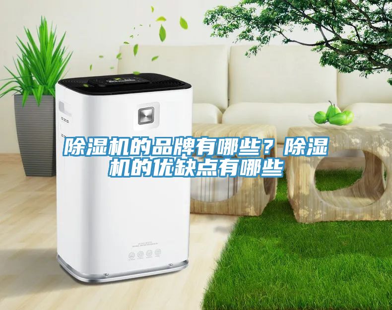 除濕機(jī)的品牌有哪些？除濕機(jī)的優(yōu)缺點(diǎn)有哪些