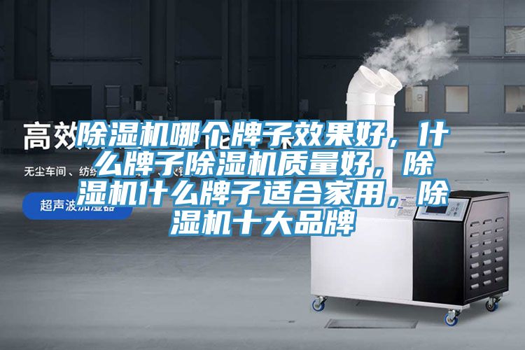 除濕機(jī)哪個(gè)牌子效果好，什么牌子除濕機(jī)質(zhì)量好，除濕機(jī)什么牌子適合家用，除濕機(jī)十大品牌