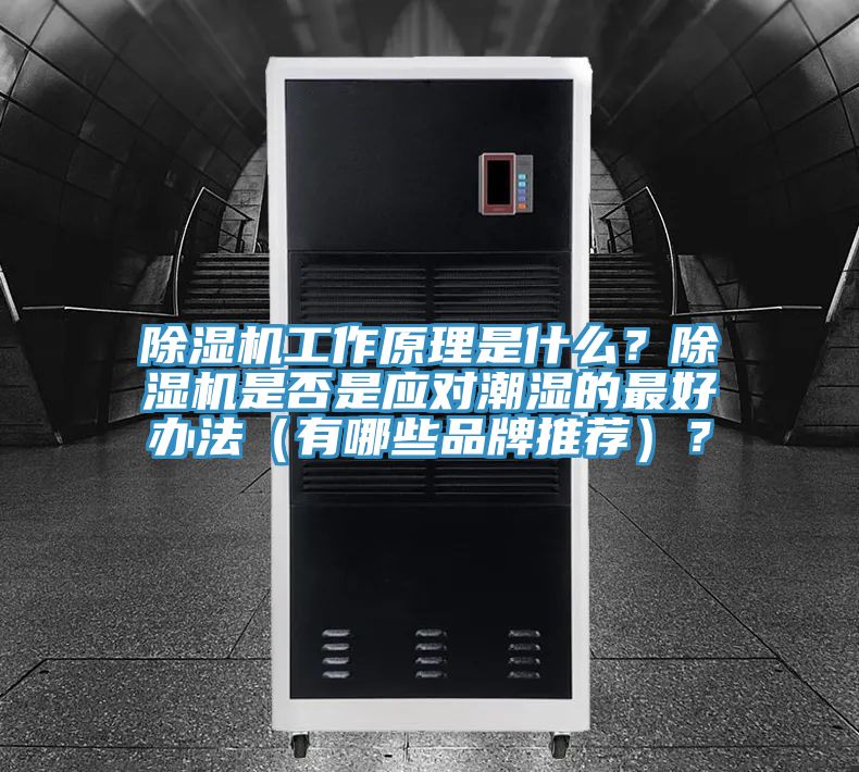 除濕機工作原理是什么？除濕機是否是應(yīng)對潮濕的最好辦法（有哪些品牌推薦）？