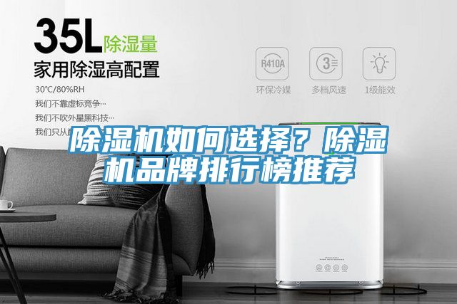 除濕機如何選擇？除濕機品牌排行榜推薦