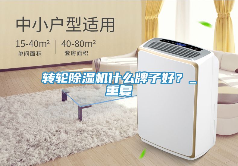 轉(zhuǎn)輪除濕機什么牌子好？_重復(fù)