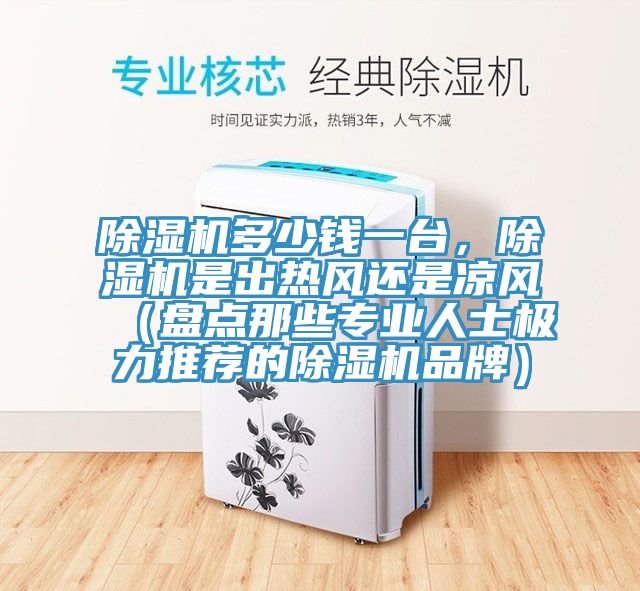 除濕機(jī)多少錢一臺(tái)，除濕機(jī)是出熱風(fēng)還是涼風(fēng)（盤點(diǎn)那些專業(yè)人士極力推薦的除濕機(jī)品牌）