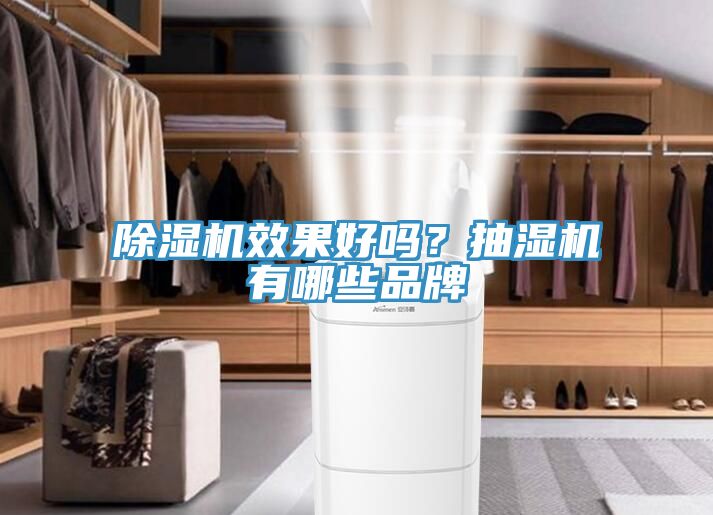 除濕機(jī)效果好嗎？抽濕機(jī)有哪些品牌