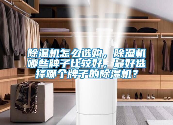除濕機(jī)怎么選購，除濕機(jī)哪些牌子比較好，最好選擇哪個(gè)牌子的除濕機(jī)？