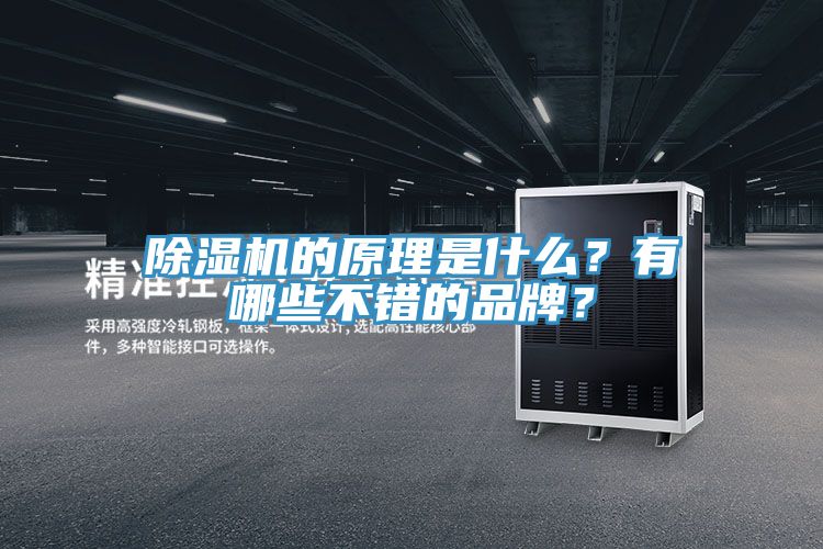 除濕機(jī)的原理是什么？有哪些不錯(cuò)的品牌？