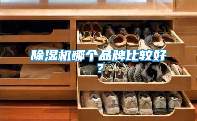 除濕機(jī)哪個品牌比較好？