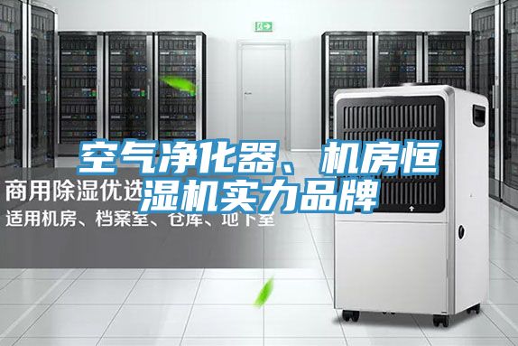 空氣凈化器、機(jī)房恒濕機(jī)實(shí)力品牌