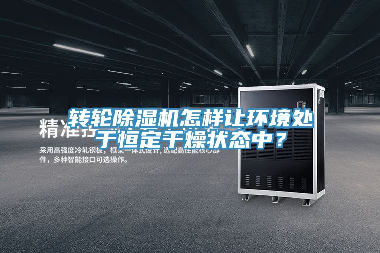 轉輪除濕機怎樣讓環(huán)境處于恒定干燥狀態(tài)中？