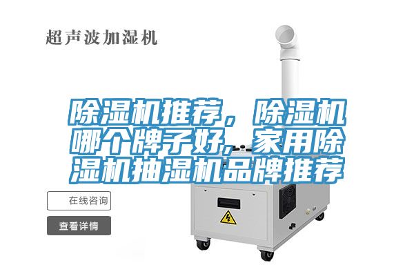 除濕機推薦，除濕機哪個牌子好, 家用除濕機抽濕機品牌推薦