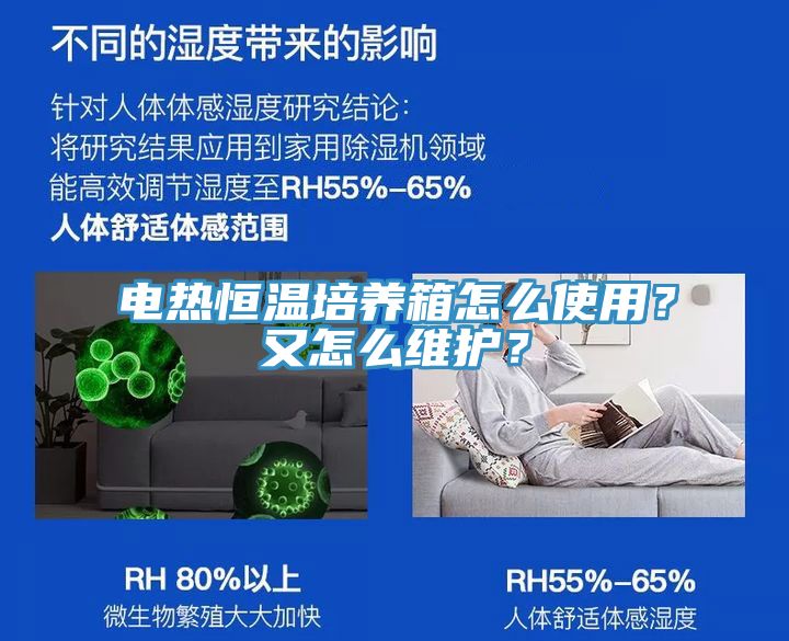 電熱恒溫培養(yǎng)箱怎么使用？又怎么維護？