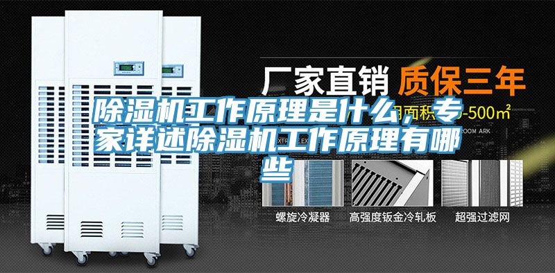 除濕機(jī)工作原理是什么，專家詳述除濕機(jī)工作原理有哪些
