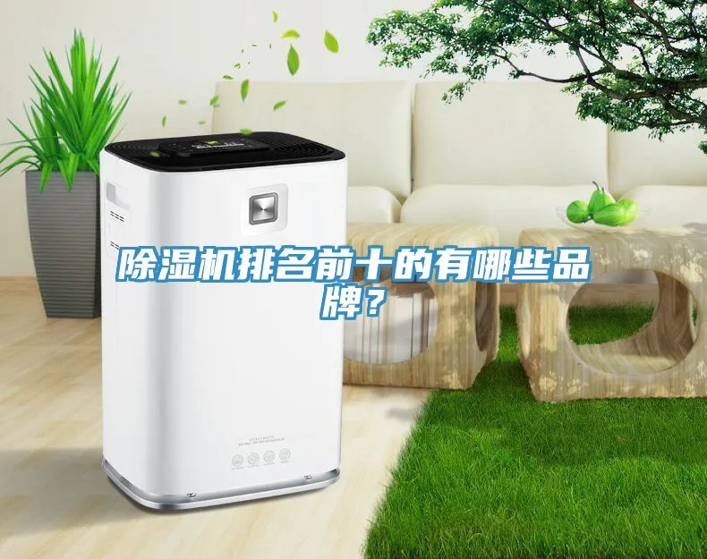 除濕機(jī)排名前十的有哪些品牌？