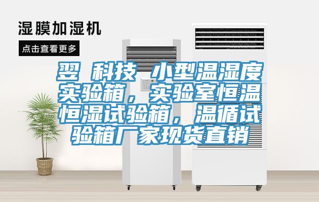 翌昇科技 小型溫濕度實(shí)驗(yàn)箱，實(shí)驗(yàn)室恒溫恒濕試驗(yàn)箱，溫循試驗(yàn)箱廠家現(xiàn)貨直銷
